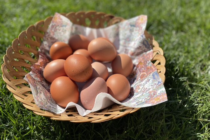 Frische Eier erhältlich
