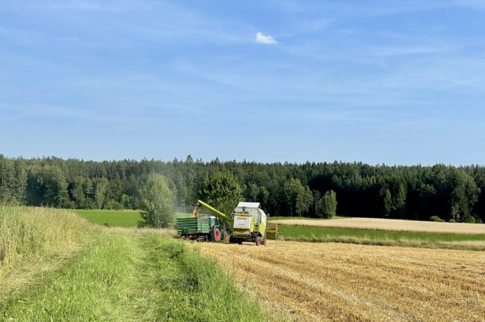 Die Ernte geht weiter