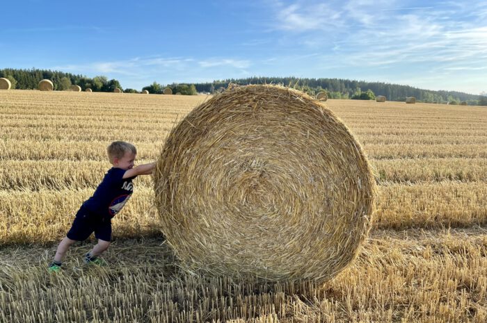 Die Ernte ist beendet