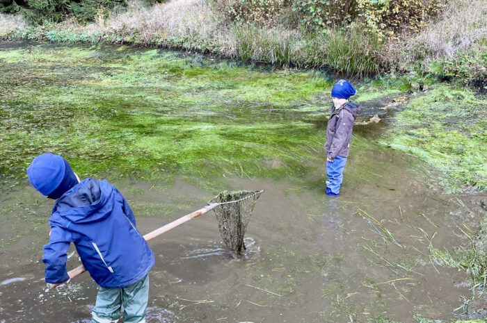 Traditionelles Abfischen