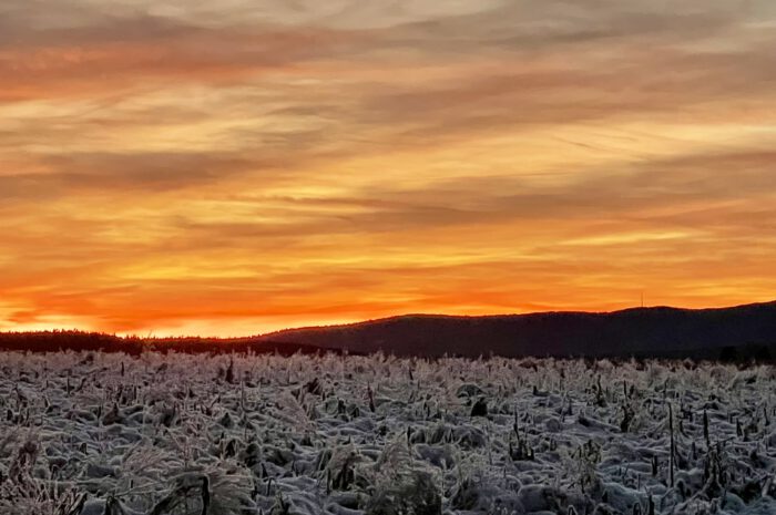 Tolles Winterwetter