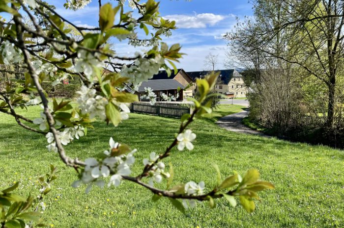 Frühling!!