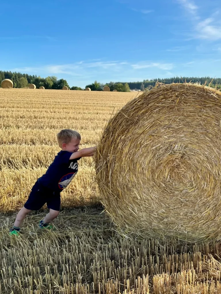 Schönlind - Landwirtschaft für Kinder erleben
